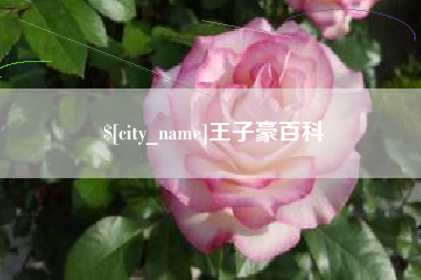 大连王子豪百科