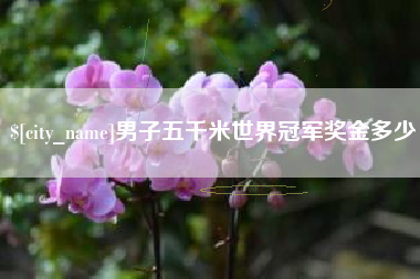 大连男子五千米世界冠军奖金多少