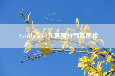 大连九宫图分割线图片