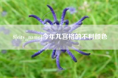 大连今年九宫格的不利颜色