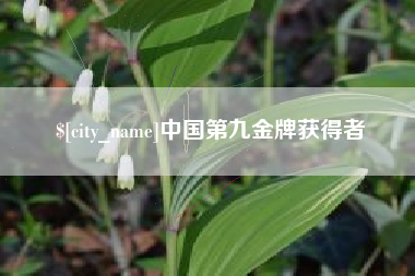 大连中国第九金牌获得者