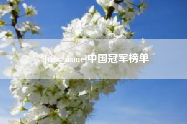 大连中国冠军榜单