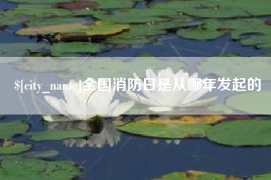大连全国消防日是从哪年发起的