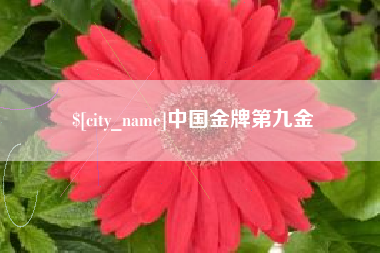 大连中国金牌第九金