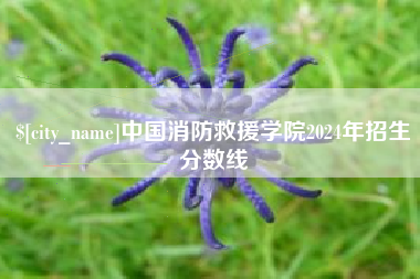大连中国消防救援学院2024年招生分数线