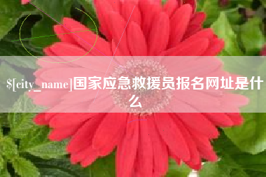 大连国家应急救援员报名网址是什么