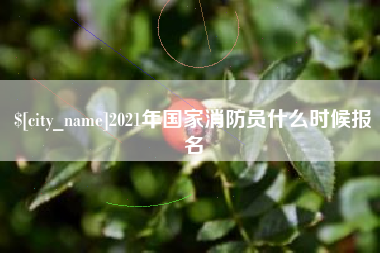 大连2021年国家消防员什么时候报名