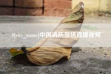 大连中国消防现场直播视频