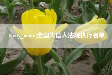 大连全国失信人法院执行名单