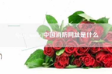 大连中国消防网址是什么