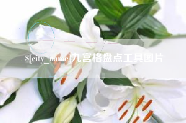 大连九宫格盘点工具图片