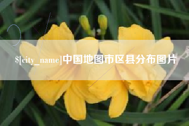 大连中国地图市区县分布图片