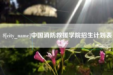 大连中国消防救援学院招生计划表