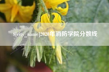 大连2020年消防学院分数线