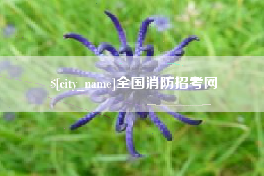 大连全国消防招考网