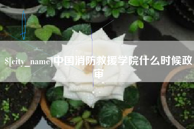 大连中国消防救援学院什么时候政审