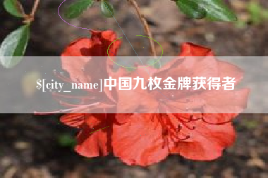 大连中国九枚金牌获得者