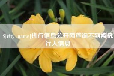 大连执行信息公开网查询不到被执行人信息
