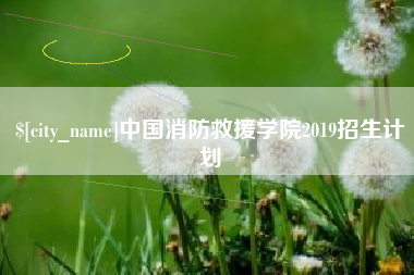 大连中国消防救援学院2019招生计划