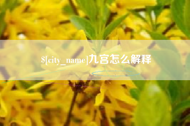 大连九宫怎么解释
