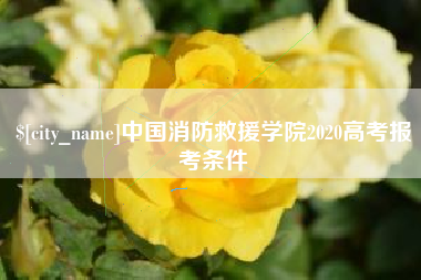 大连中国消防救援学院2020高考报考条件