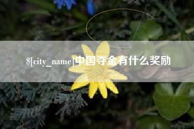 大连中国夺金有什么奖励