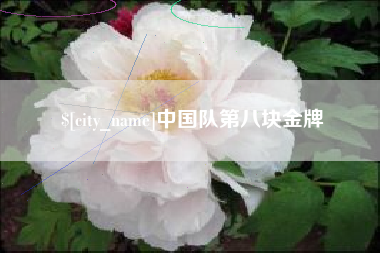 大连中国队第八块金牌