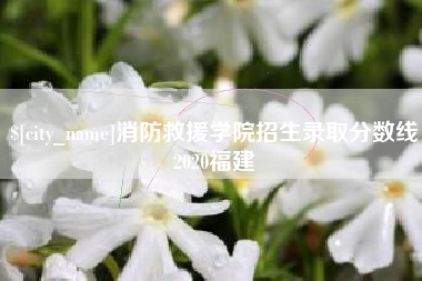 大连消防救援学院招生录取分数线2020福建