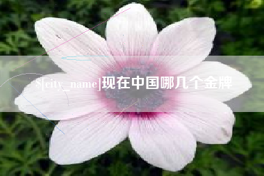 大连现在中国哪几个金牌