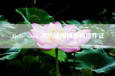 大连消防证国网查询操作证