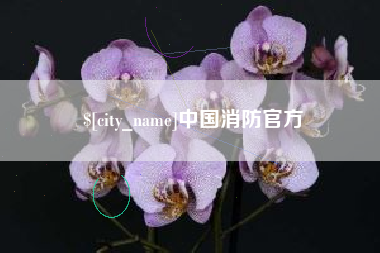 大连中国消防官方