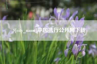大连中国执行公开网下载