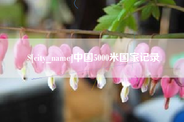 大连中国5000米国家记录