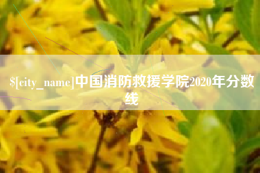 大连中国消防救援学院2020年分数线