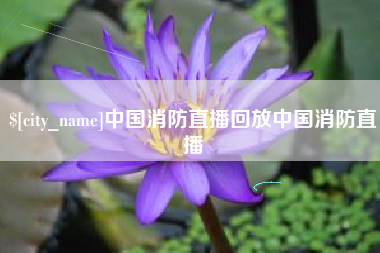 大连中国消防直播回放中国消防直播