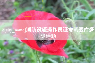 大连消防设施操作员证考试题库多少道题