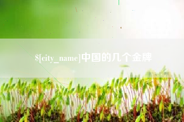 大连中国的几个金牌