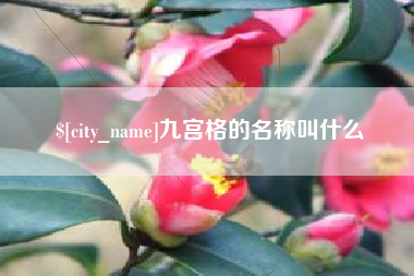 大连九宫格的名称叫什么
