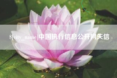 大连中国执行信息公开网失信
